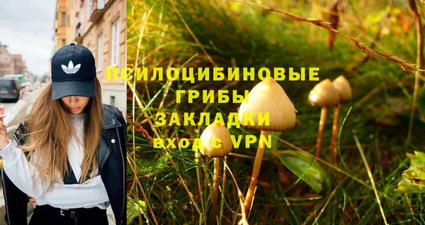 ECSTASY Алексеевка