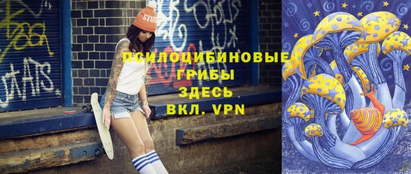 спайс Пересвет