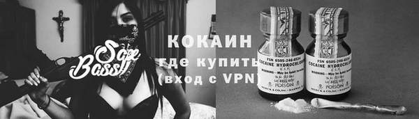 спайс Пересвет